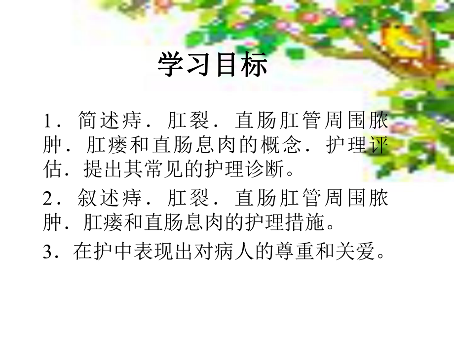 直肠肛管良性疾病的护理课件.pptx_第2页