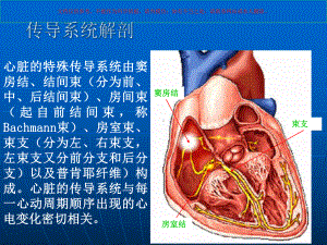 监护心电图入门课件.ppt