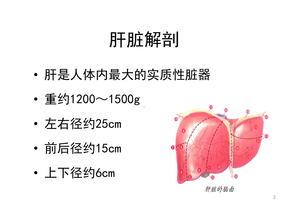 四十一章肝脏疾病课件.ppt_第2页