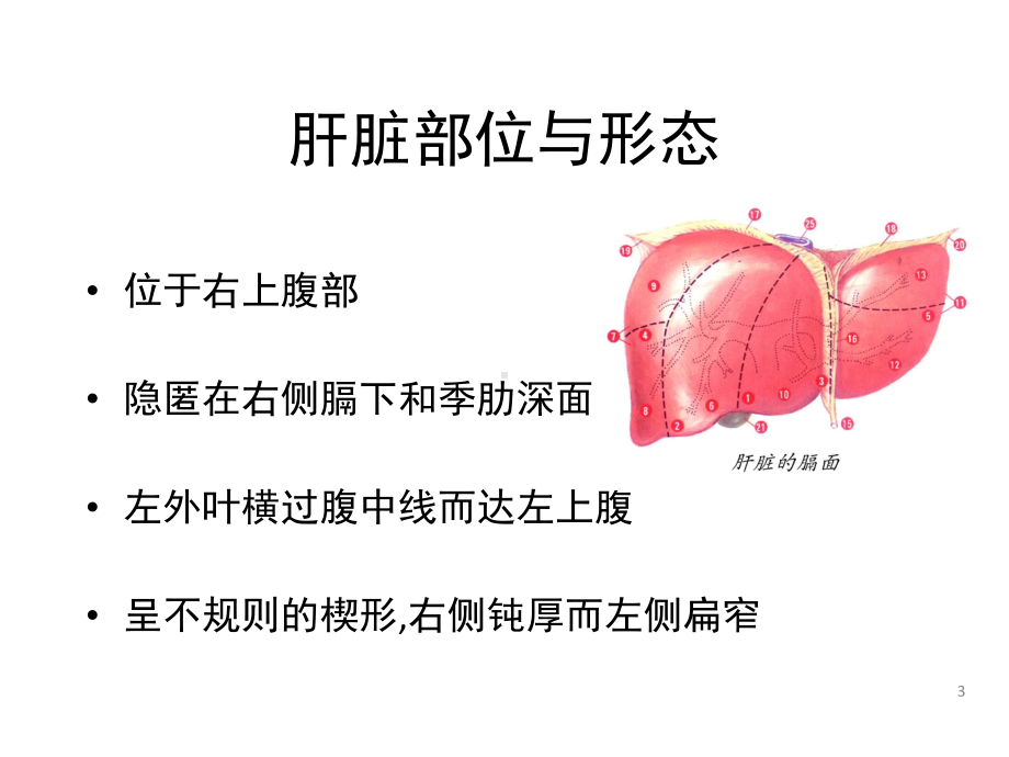 四十一章肝脏疾病课件.ppt_第3页