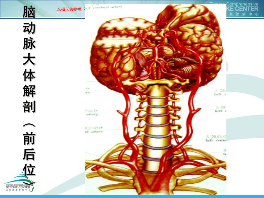 缺血性卒中的相关问题课件.ppt_第2页