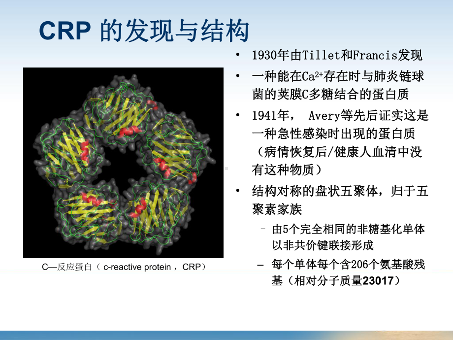 C-反应蛋白检测的临床意义课件.pptx_第2页