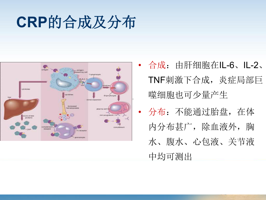 C-反应蛋白检测的临床意义课件.pptx_第3页