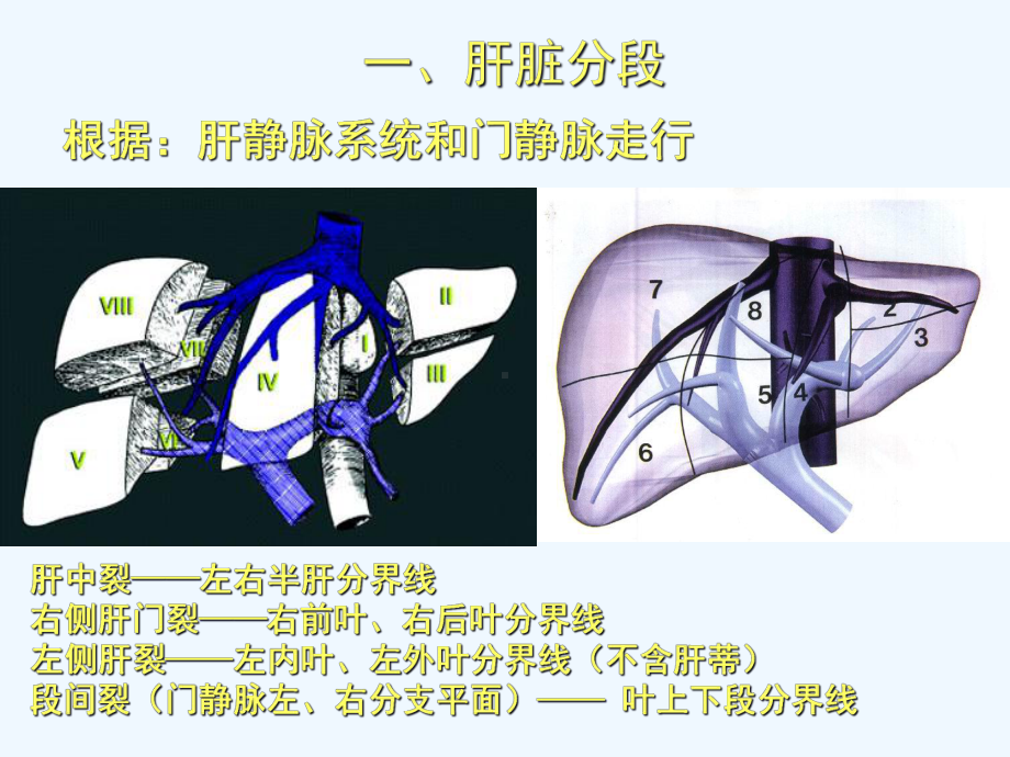 肝脏外科现状与进展课件.ppt_第2页