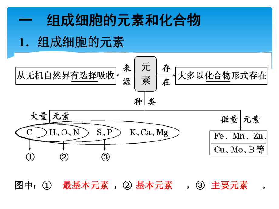 -组成细胞的元素和化合物课件.pptx_第2页