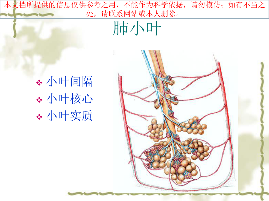 细支气管肺泡癌CT诊疗培训课件.ppt_第2页