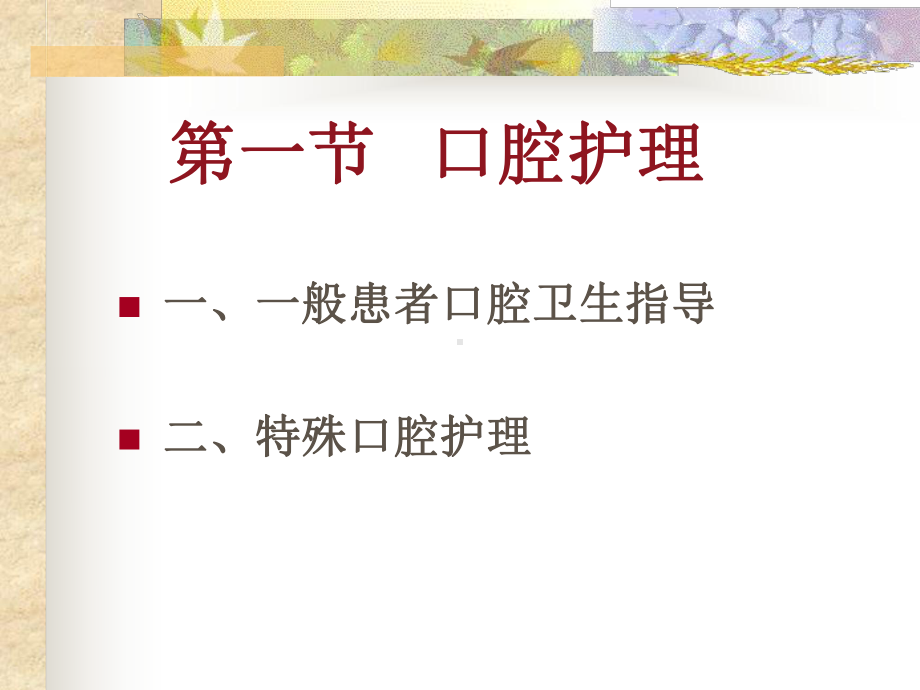 十三章清洁卫生护理课件.ppt_第2页