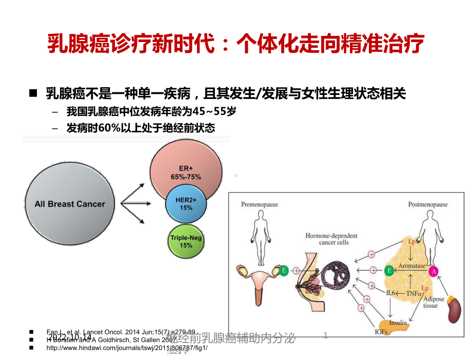 绝经前乳腺癌辅助内分泌治疗培训课件.ppt_第1页