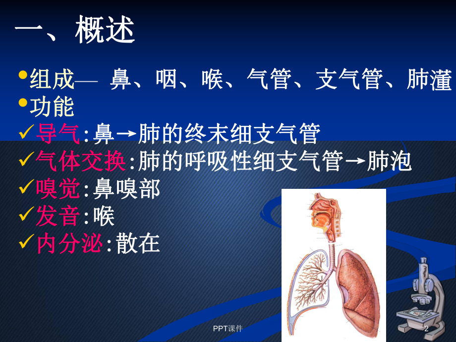 组织学与胚胎学-呼吸系统-课件.ppt_第2页