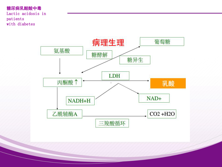 糖尿病乳酸酸中毒课件.ppt_第3页