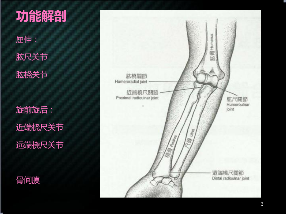 肘腕指部实用康复课程课件.ppt_第3页