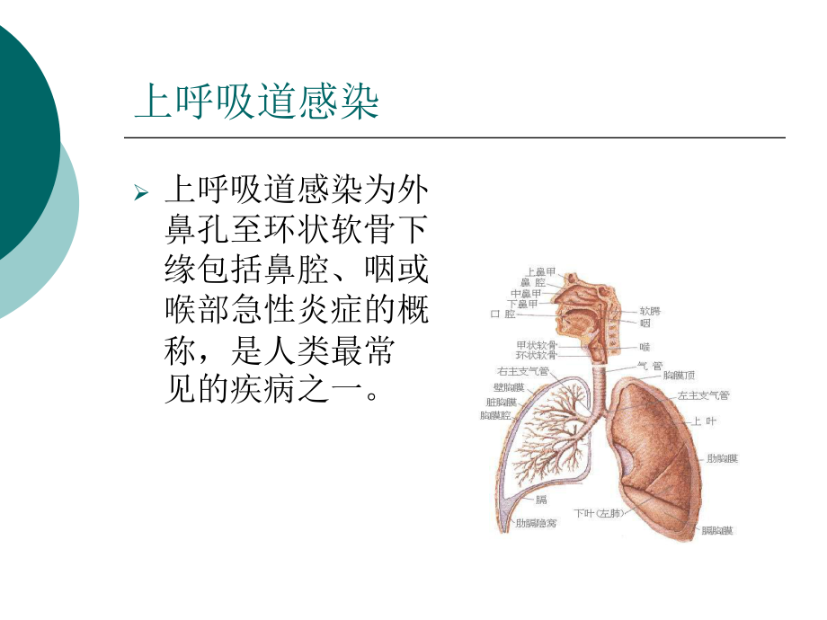 7章内科常见病-课件.pptx_第3页