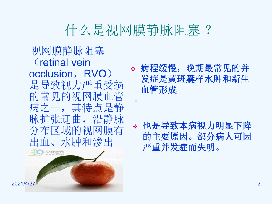 益脉康滴丸在治疗视网膜概要课件.ppt_第2页