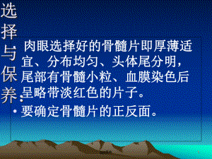 红细胞系形态识别-课件.ppt