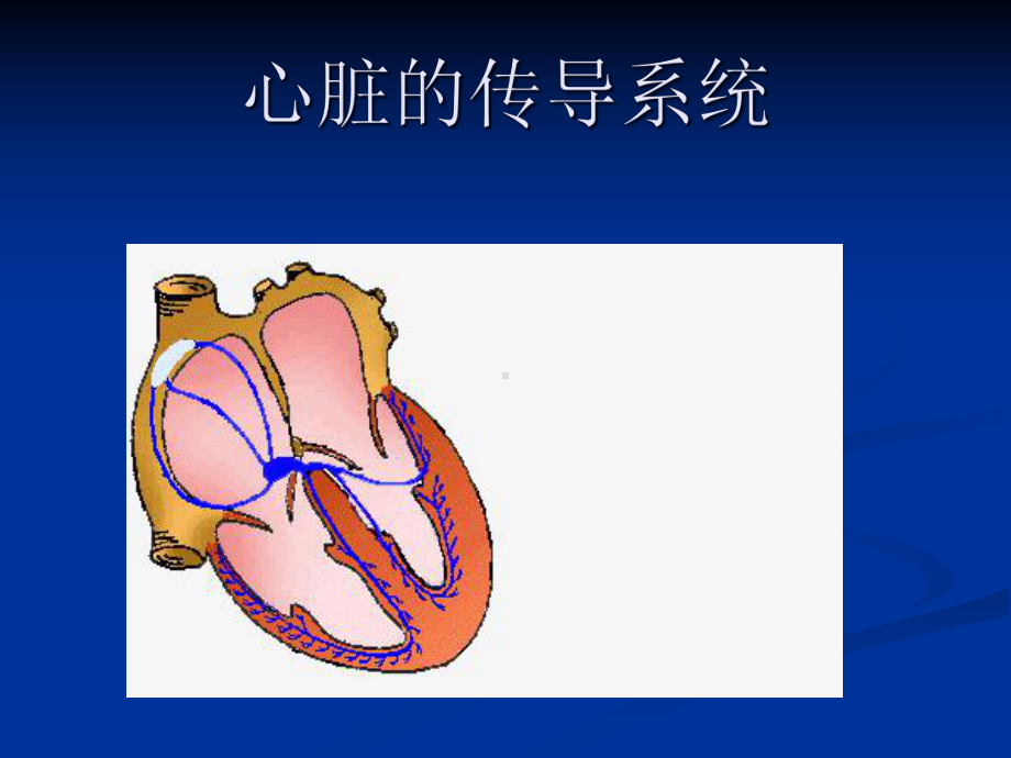 经典：常见心电图诊断与临床课件.ppt_第2页