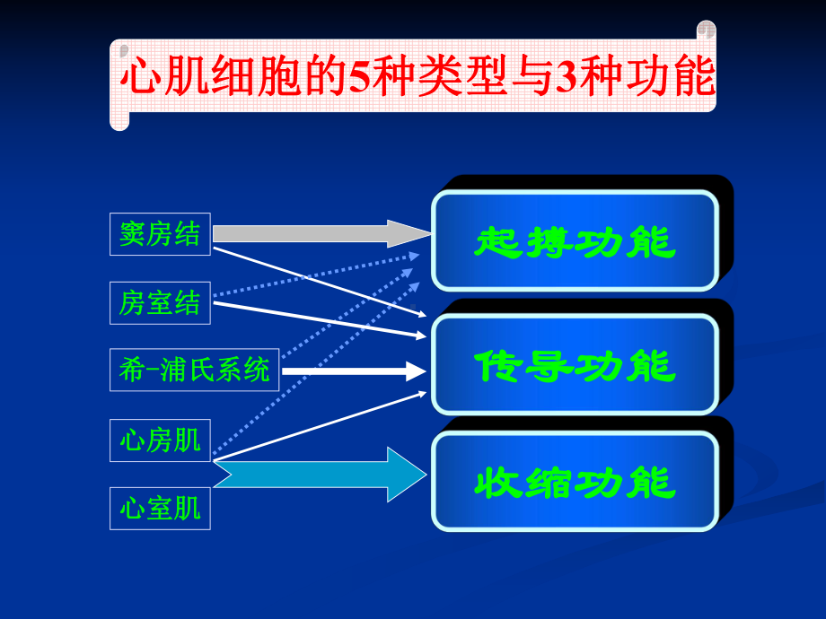 经典：常见心电图诊断与临床课件.ppt_第3页