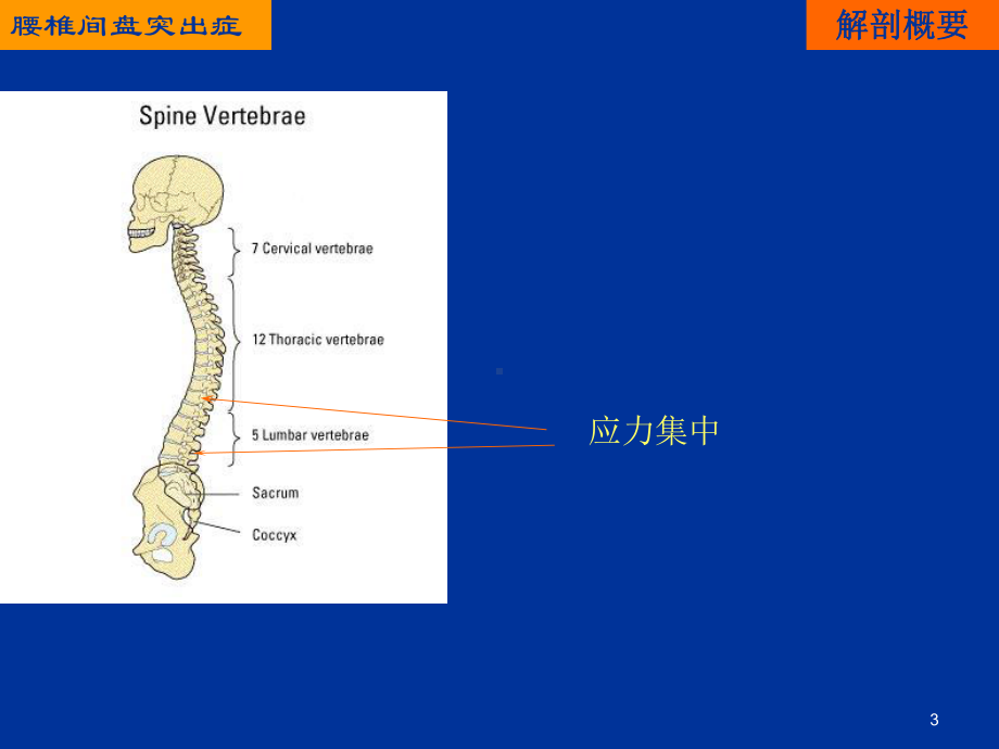 综合保守治疗腰椎间盘突出症教学课件.ppt_第3页