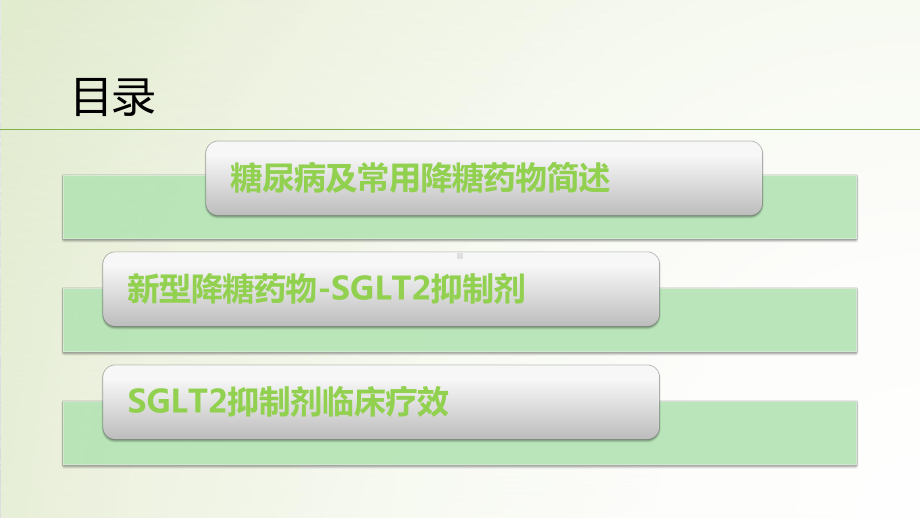 SGLT2抑制剂在糖尿病中的应用课件.pptx_第2页