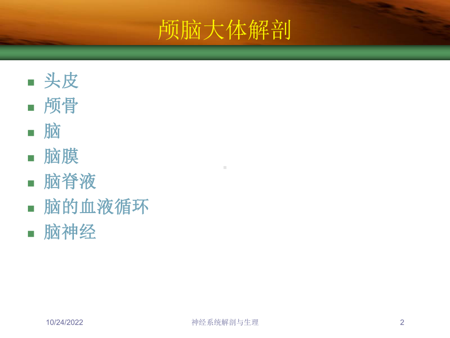 神经系统解剖与生理培训课件.ppt_第2页