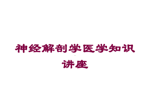 神经解剖学医学知识讲座培训课件.ppt