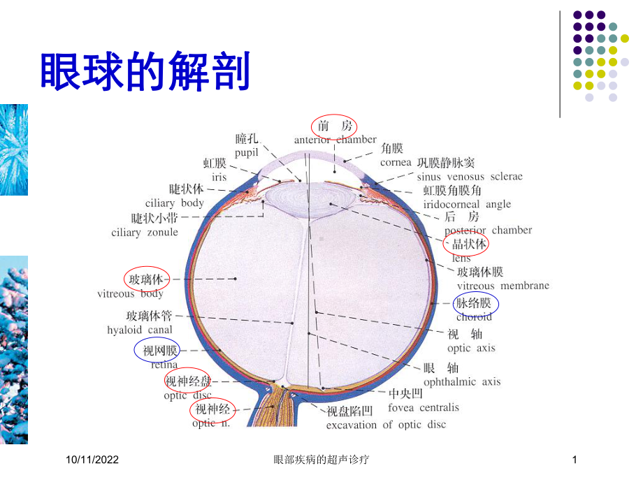 眼部疾病的超声诊疗培训课件.ppt_第1页