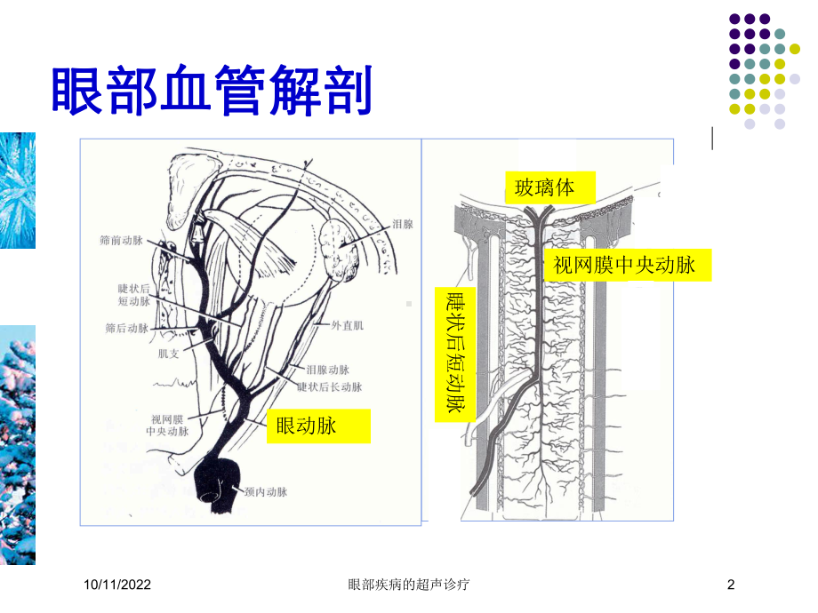 眼部疾病的超声诊疗培训课件.ppt_第2页