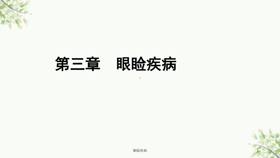 眼睑疾病课件.ppt_第1页