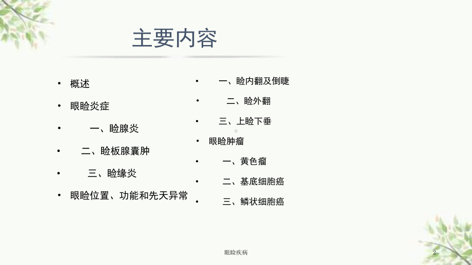 眼睑疾病课件.ppt_第2页