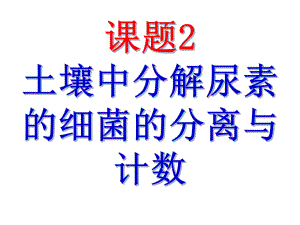 22土壤中分解尿素的微生物的分离和计数课件.ppt