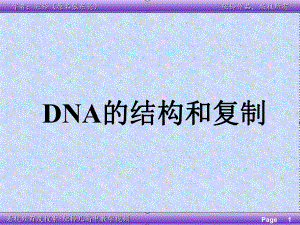 DNA的结构和复制-(共49张)课件.ppt