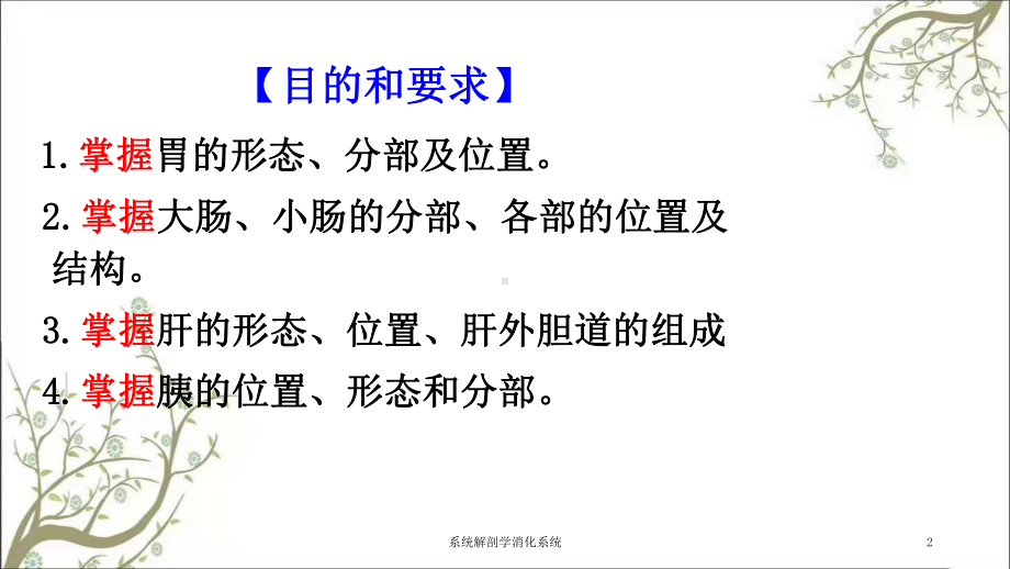 系统解剖学消化系统课件.ppt_第2页