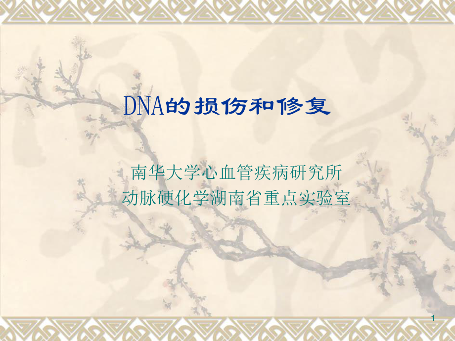 DNA的损伤和修复解析课件.ppt_第1页