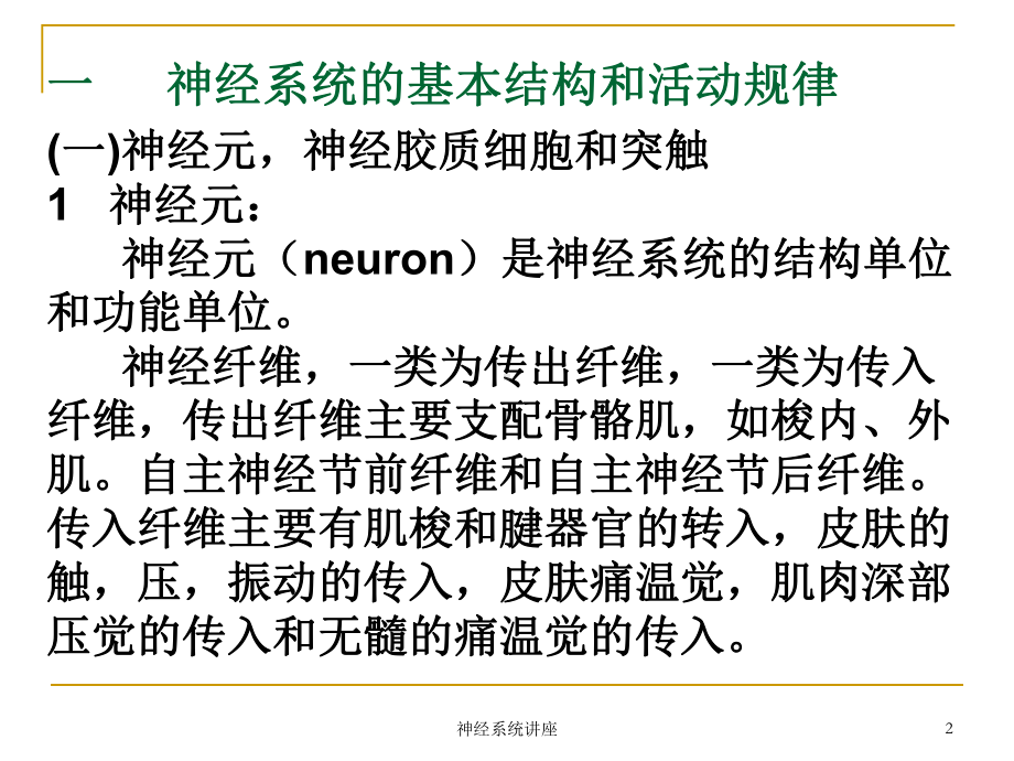 神经系统讲座课件.ppt_第2页