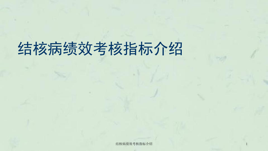 结核病绩效考核指标介绍课件.ppt_第1页