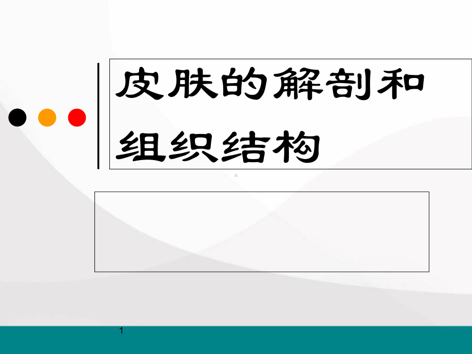 皮肤的解剖和组织结构医学课件.ppt_第1页