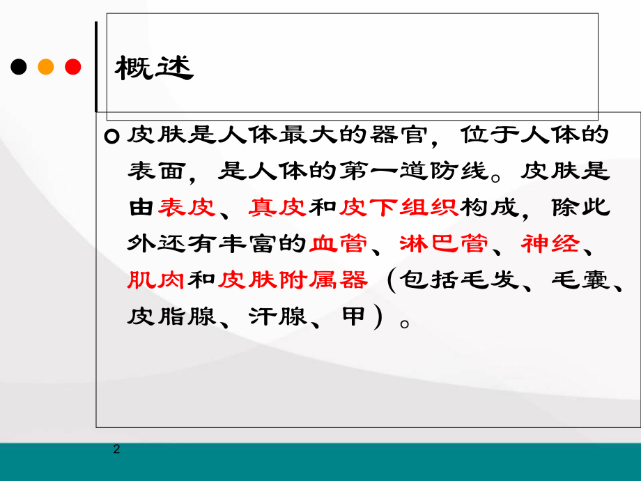 皮肤的解剖和组织结构医学课件.ppt_第2页