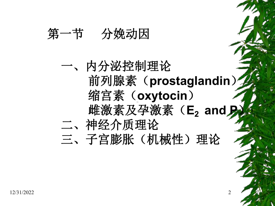 示教正常分娩课件.pptx_第2页