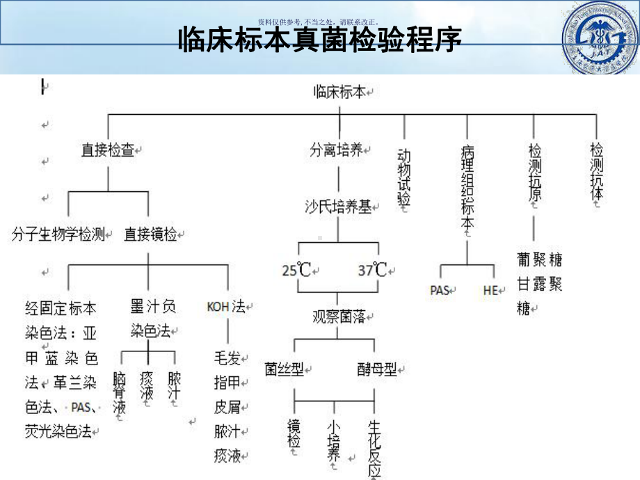 真菌检验主题医学知识课件.ppt_第3页