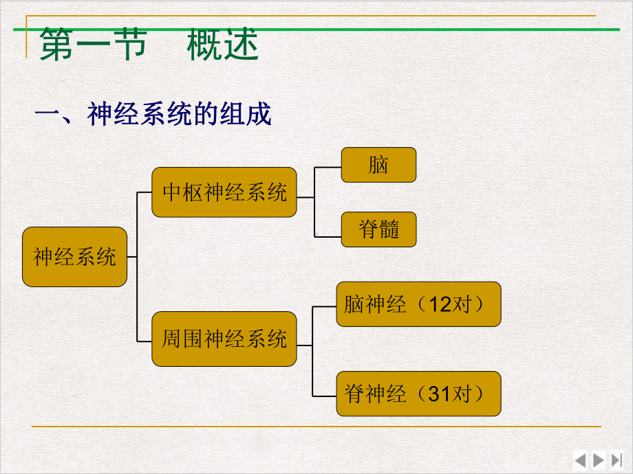 神经系统研究优选课件.pptx_第1页