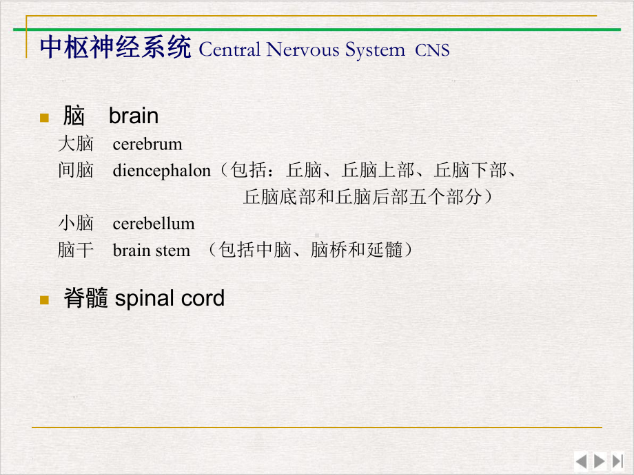 神经系统研究优选课件.pptx_第3页