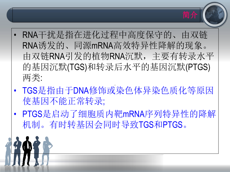 RNA干扰与应用精讲课件.ppt_第2页