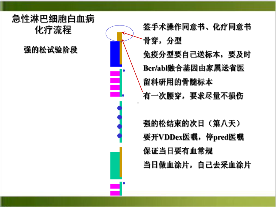 白血病化疗流程课件.ppt_第2页