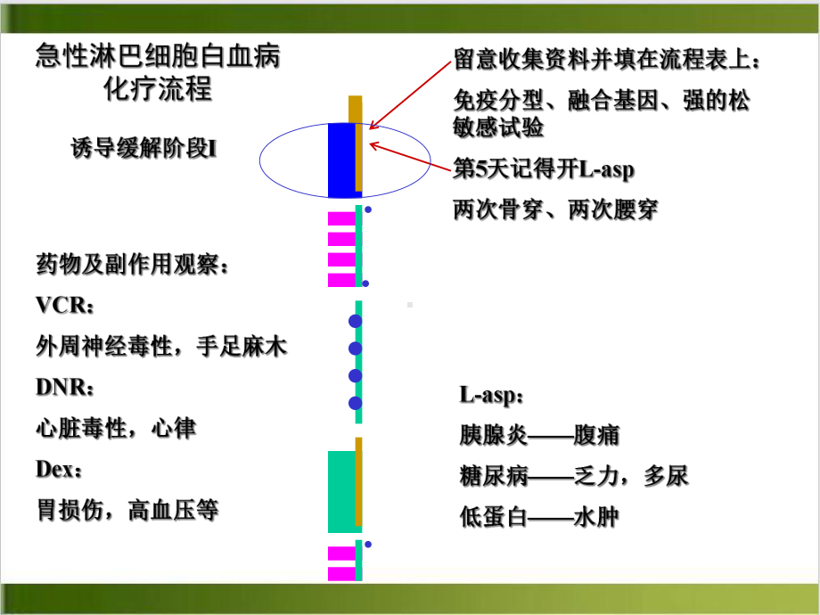 白血病化疗流程课件.ppt_第3页