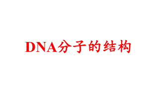 (新教材)DNA的结构优秀课件人教版1.ppt