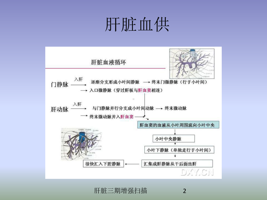 肝脏三期增强扫描培训课件.ppt_第2页