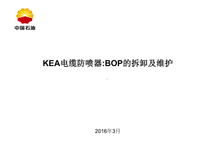 KEA电缆防喷器拆卸维护介绍综述课件.ppt