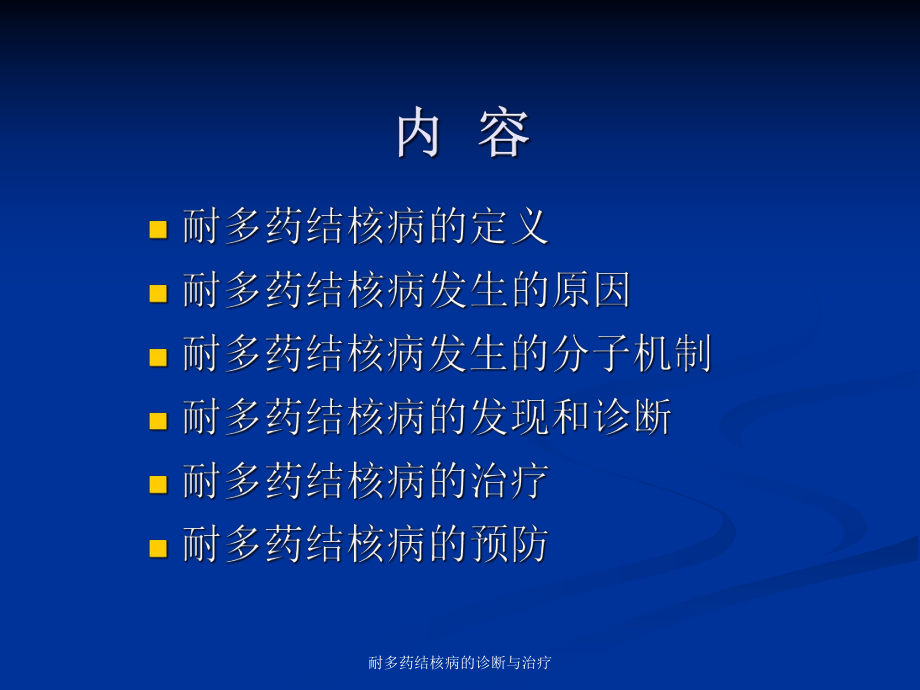 耐多药结核病的诊断与治疗课件.ppt_第2页