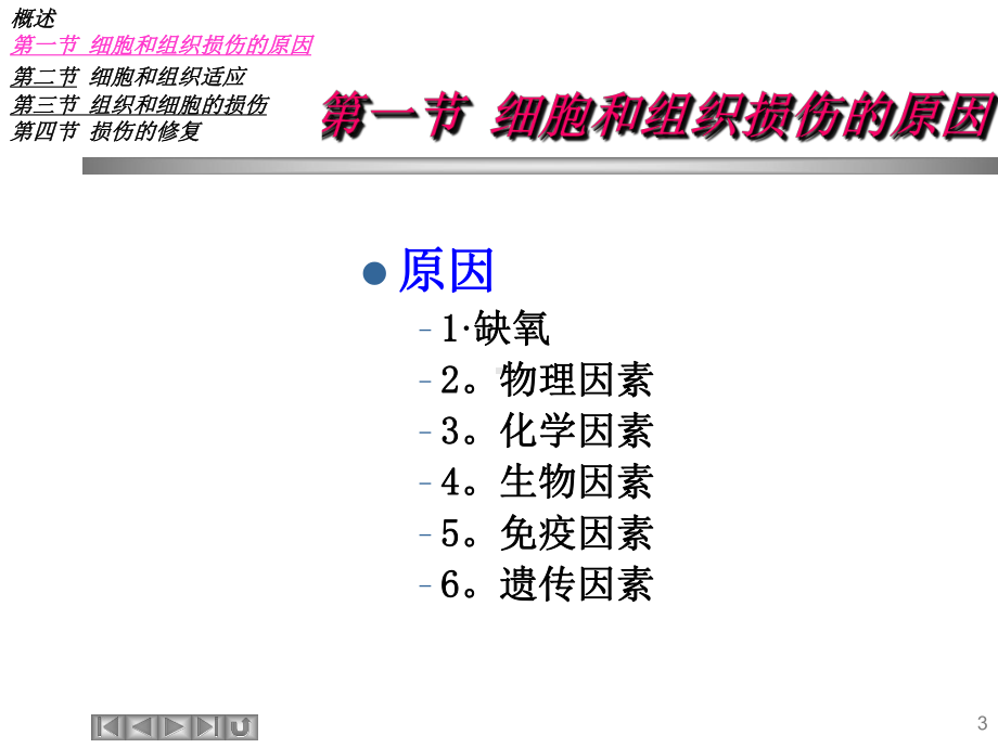 细胞和组织的损伤与修复教学课件.ppt_第3页