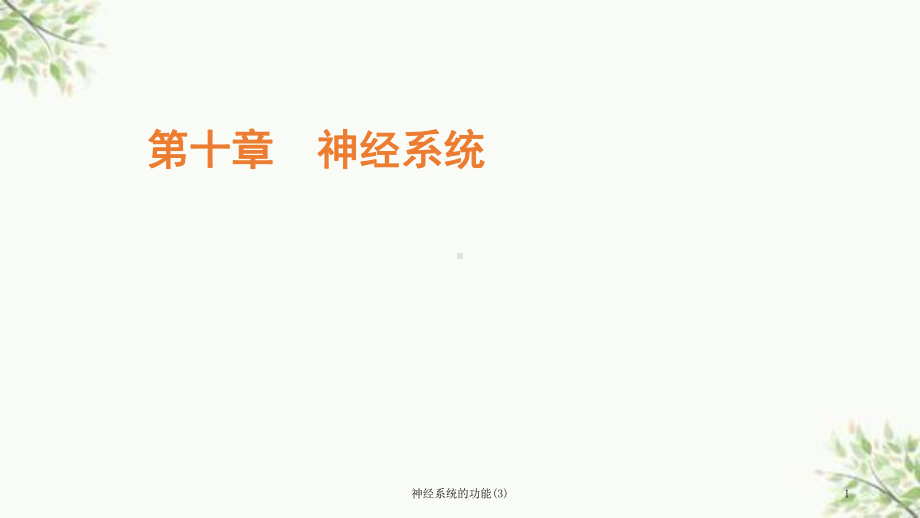 神经系统的功能课件3.ppt_第1页