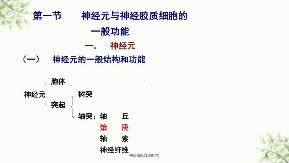 神经系统的功能课件3.ppt_第3页